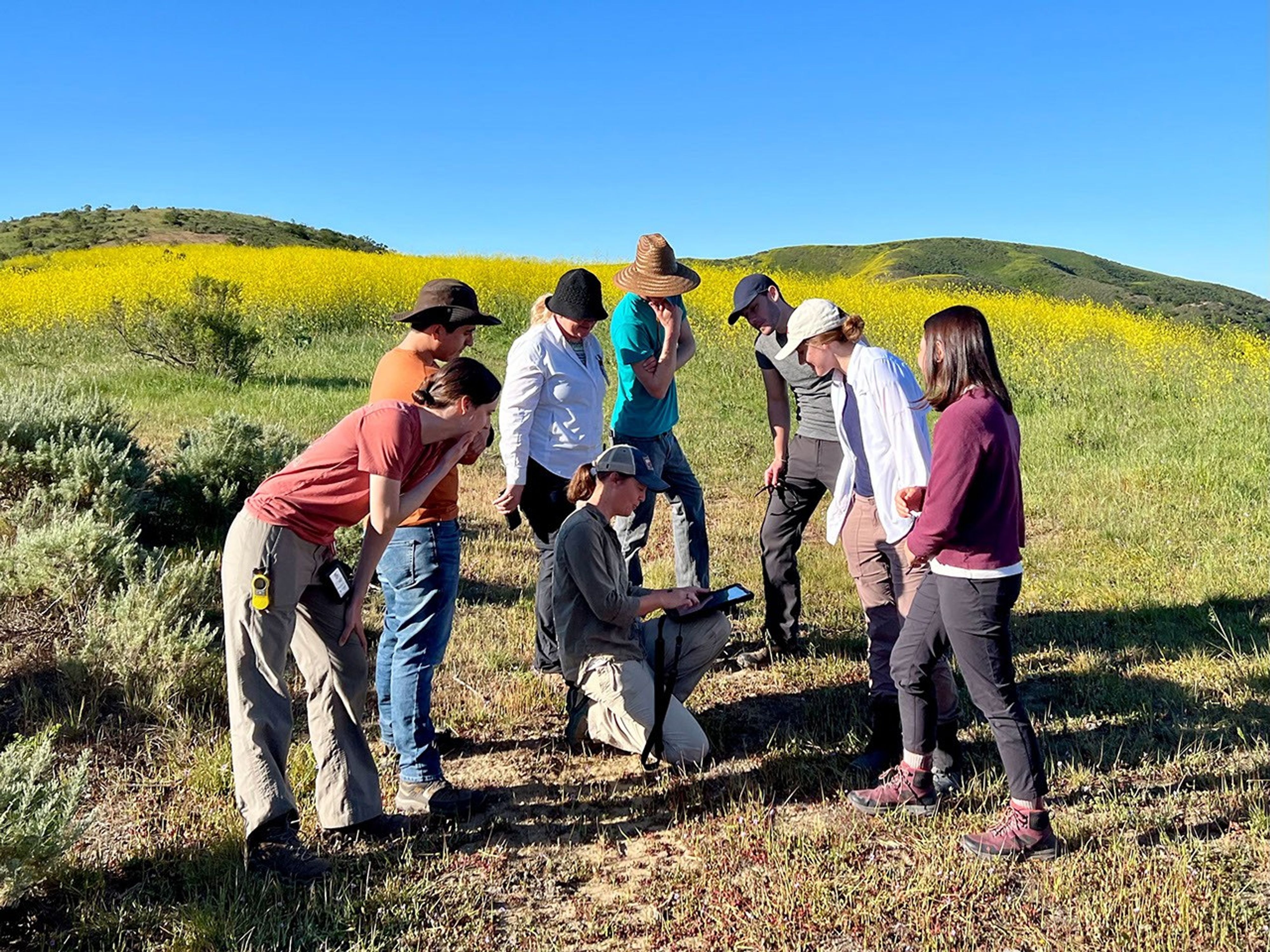JPL scientist Dana Chadwick, center, advises a field team working on the SHIFT campaign on locations for collection and analysis of vegetation samples.