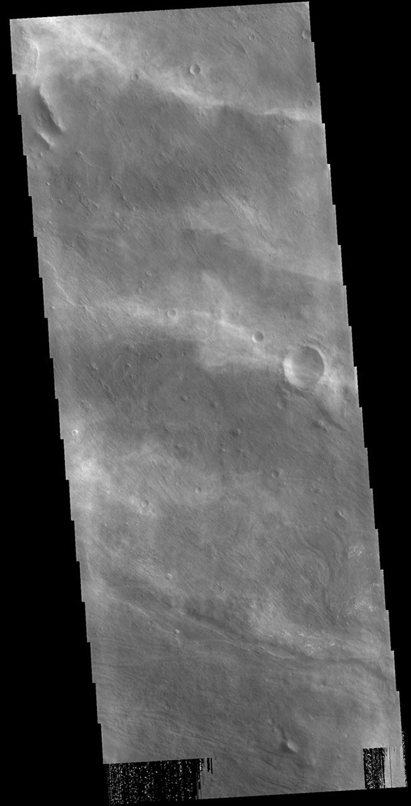 This image from NASA's Mars Odyssey shows high altitude winter clouds over Melas Chasma.