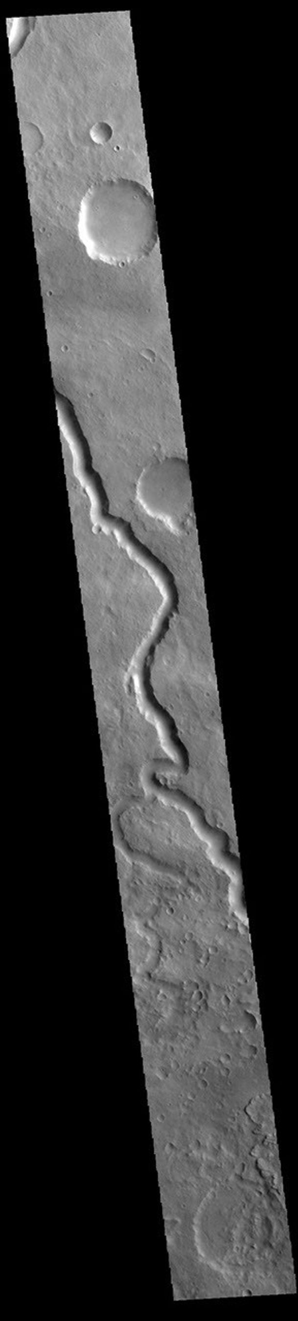 This image from NASA's Mars Odyssey shows a section of Scamander Vallis. Scamander Vallis is located in northern Terra Sabaea.