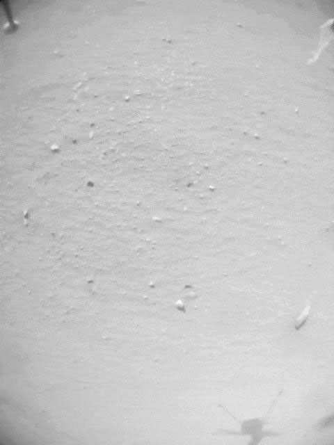 During the 33rd flight of NASA's Ingenuity Mars Helicopter, a small piece of foreign object debris can be seen attached to one of the rotorcraft's landing legs before falling away to the surface. There's no indication of damage to the helicopter.