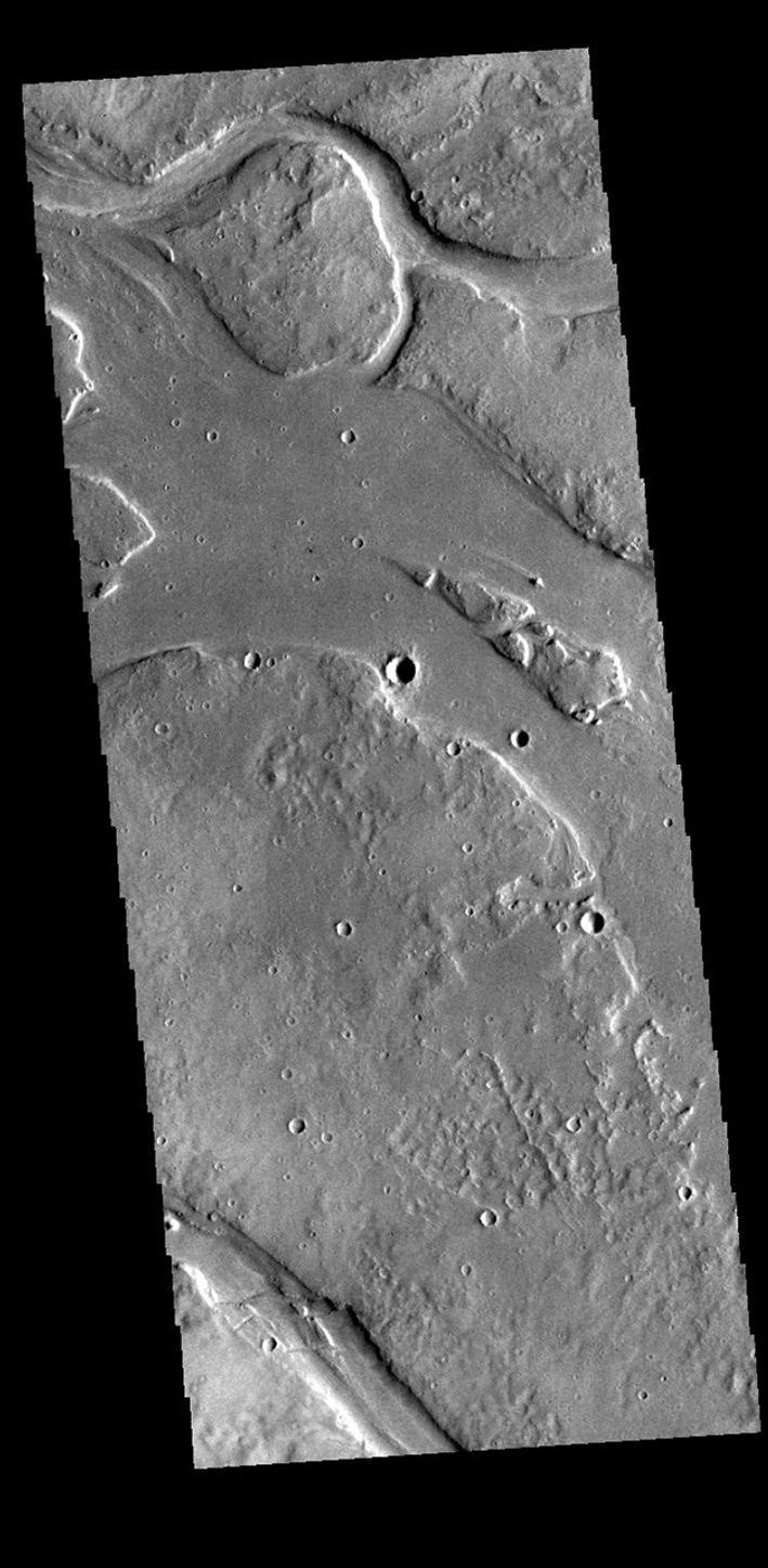 This image from NASA's Mars Odyssey shows many of the channel segments of Granicus Valles. Granicus Valles is a complex channel system located west of Elysium Mons.