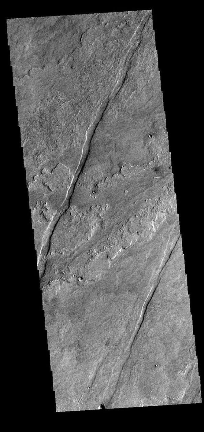 This image from NASA's Mars Odyssey shows a small portion of the immense lava flows that originated from Arsia Mons.