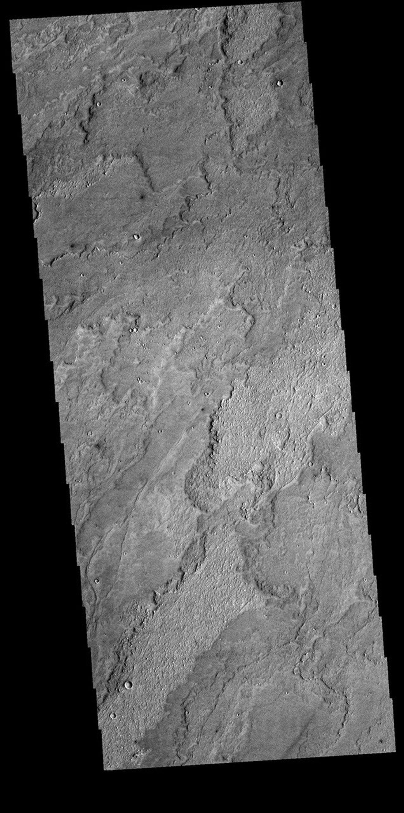 This image from NASA's Mars Odyssey shows a small portion of the immense lava flows that originated from Arsia Mons.
