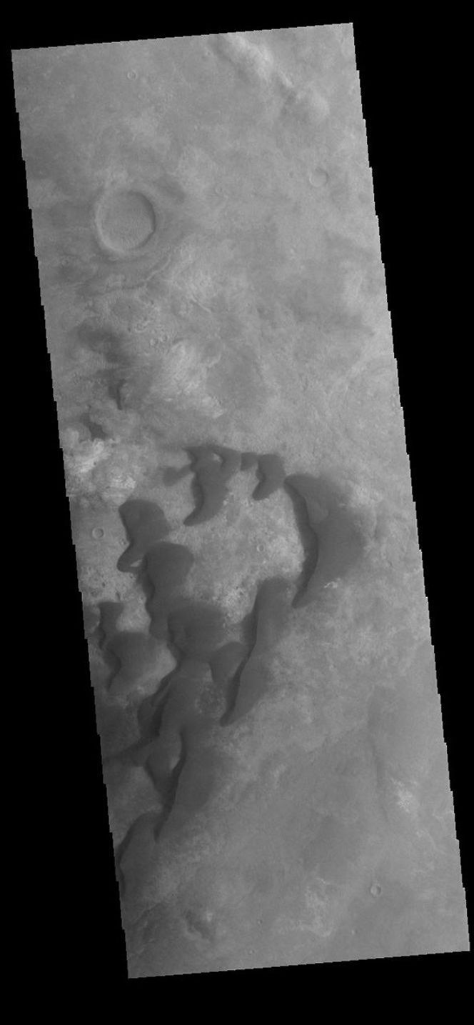 This image from NASA's Mars Odyssey shows Kaiser Crater and many individual dunes.