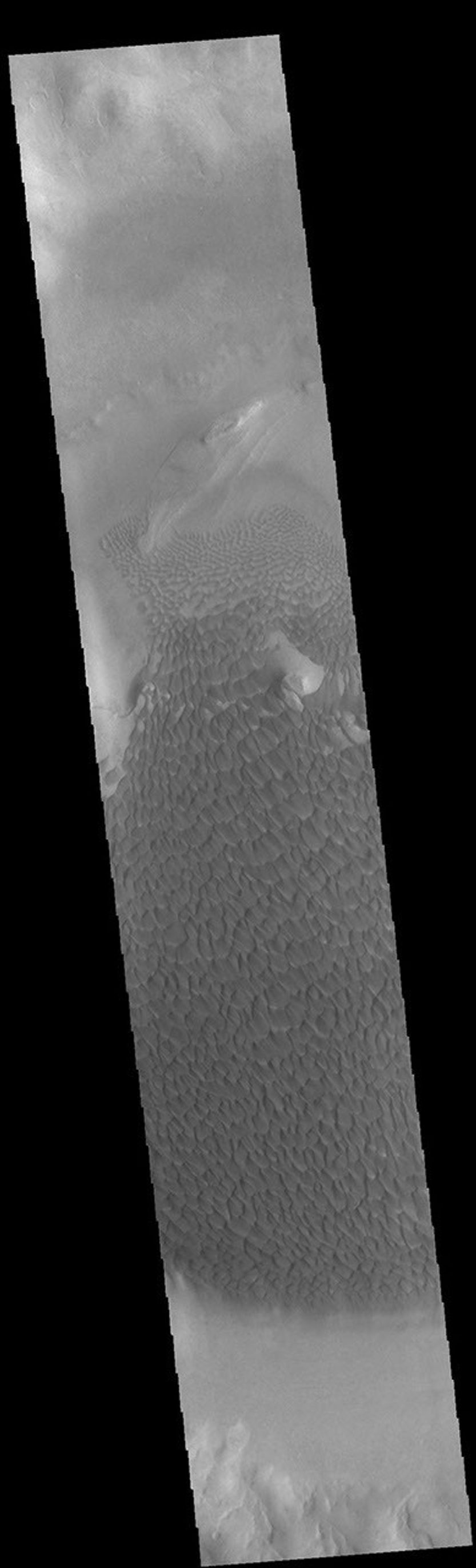 This image from NASA's Mars Odyssey shows part of the floor of Rabe Crater. Located in Noachis Terra, Rabe Crater is 108 km (67 miles) across.