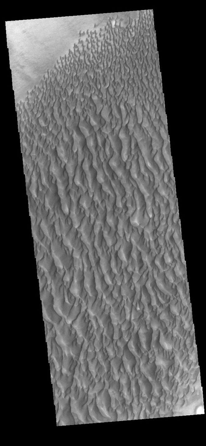 This image from NASA's Mars Odyssey shows sand dunes within Proctor Crater. These dunes are composed of basaltic sand that has collected in the bottom of the crater.