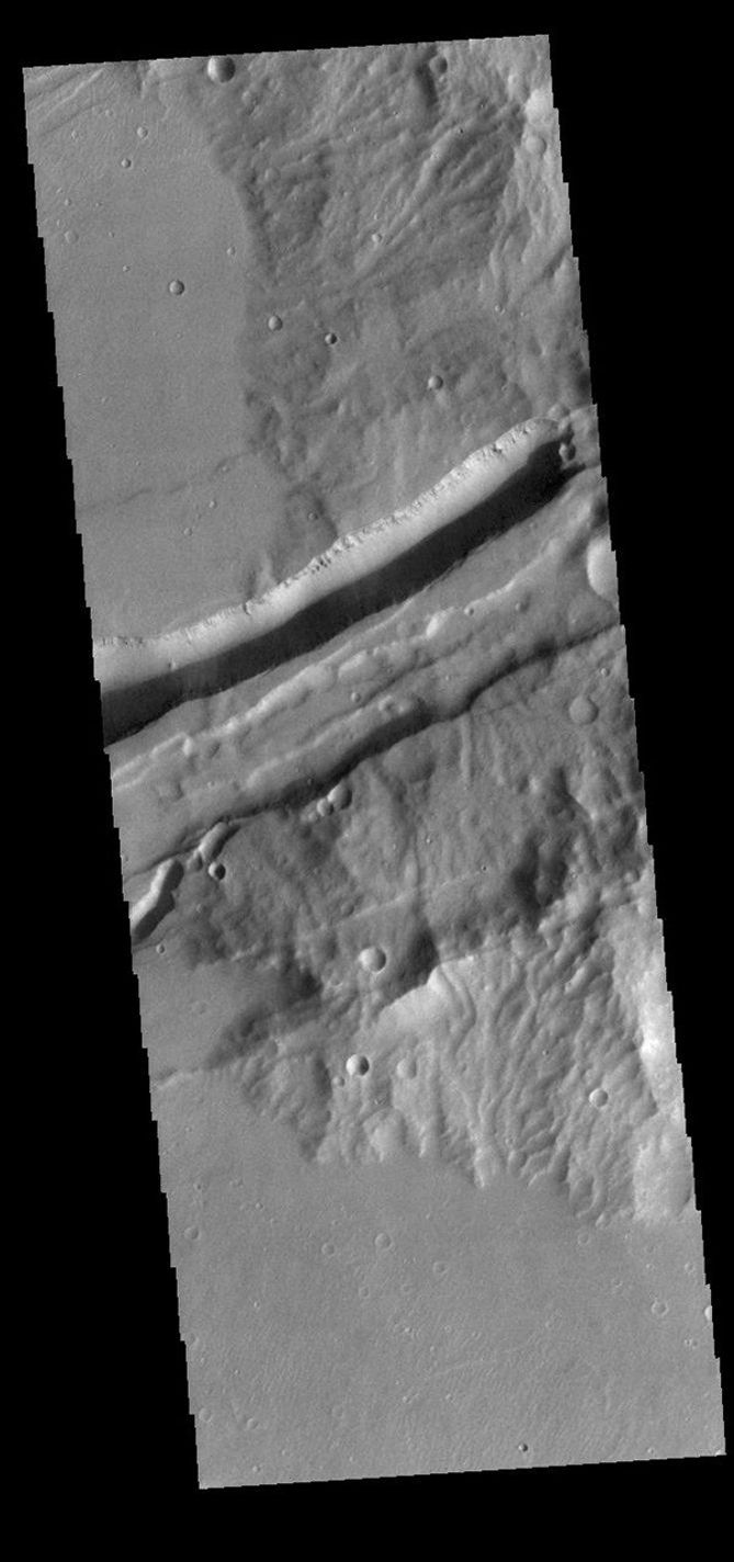 This image from NASA's Mars Odyssey shows a portion of Sirenum Fossae. The linear features are tectonic graben.