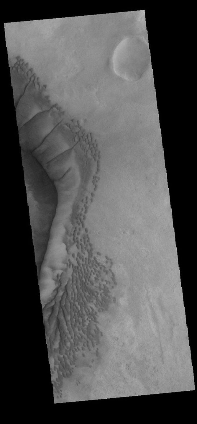 This image from NASA's Mars Odyssey shows complex dune forms located on the floor of Russell Crater.