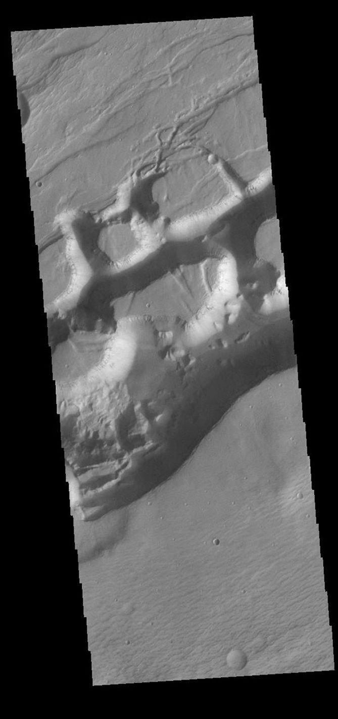 This image from NASA's Mars Odyssey shows a portion of Sirenum Fossae. The linear features are tectonic graben.