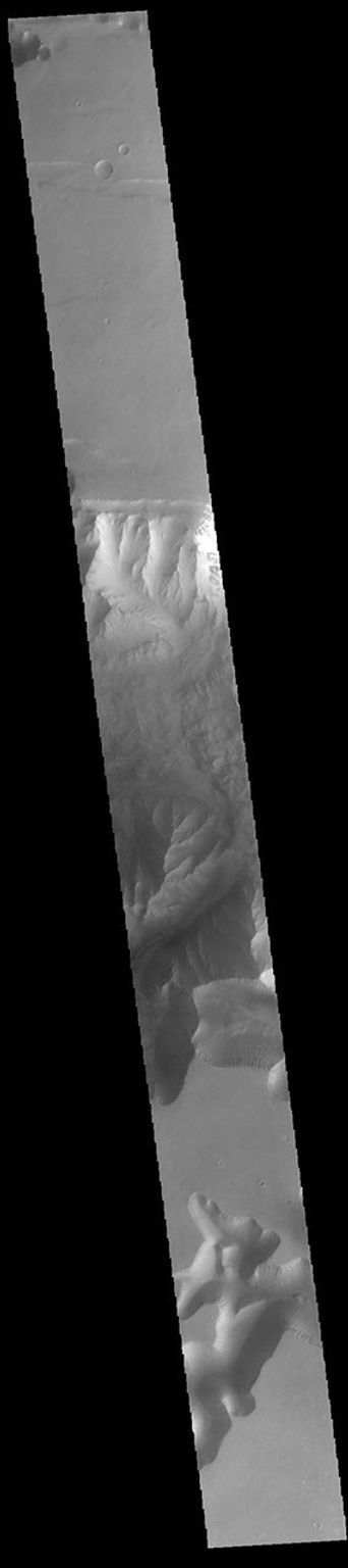 This image from NASA's Mars Odyssey shows part of Ius Chasma and one of its mega gullies.