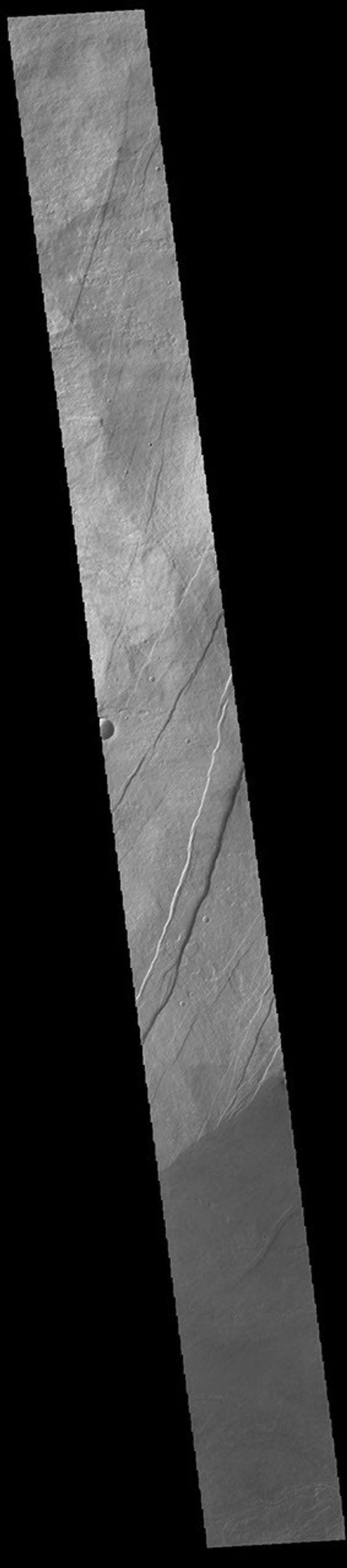 This image from NASA's Mars Odyssey shows part of the southern flank of Arsia Mons. The linear features are graben.