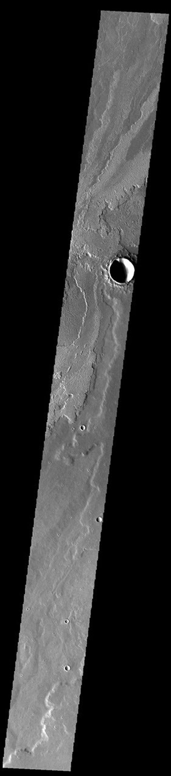 This image from NASA's Mars Odyssey shows a small portion of the immense lava flows that originated from Arsia Mons.