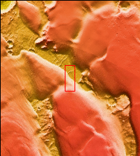 Context image for PIA25755