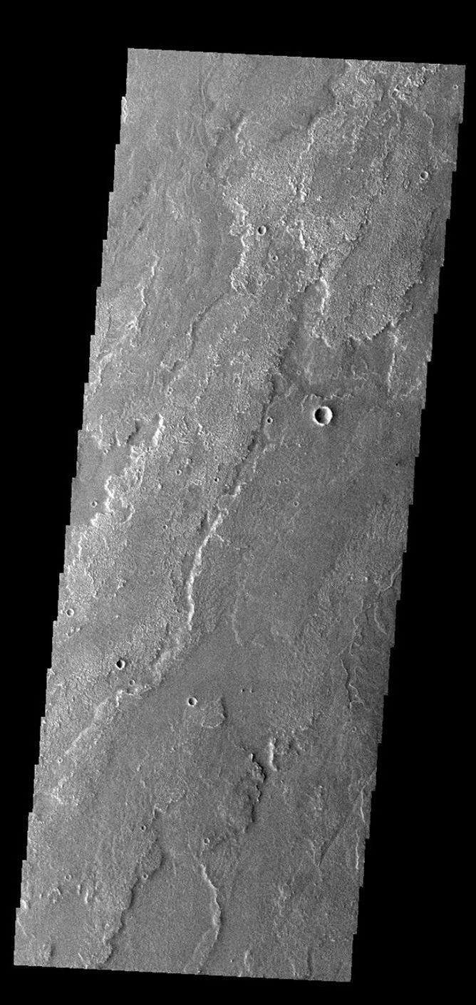 This image from NASA's Mars Odyssey shows a small portion of the immense lava flows that originated from Arsia Mons.