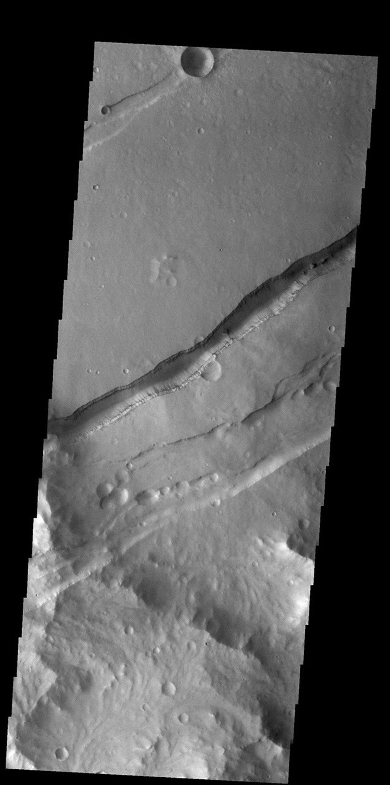 This image from NASA's Mars Odyssey shows a portion of Sirenum Fossae. The linear features are tectonic graben. Graben are formed by extension of the crust and faulting.