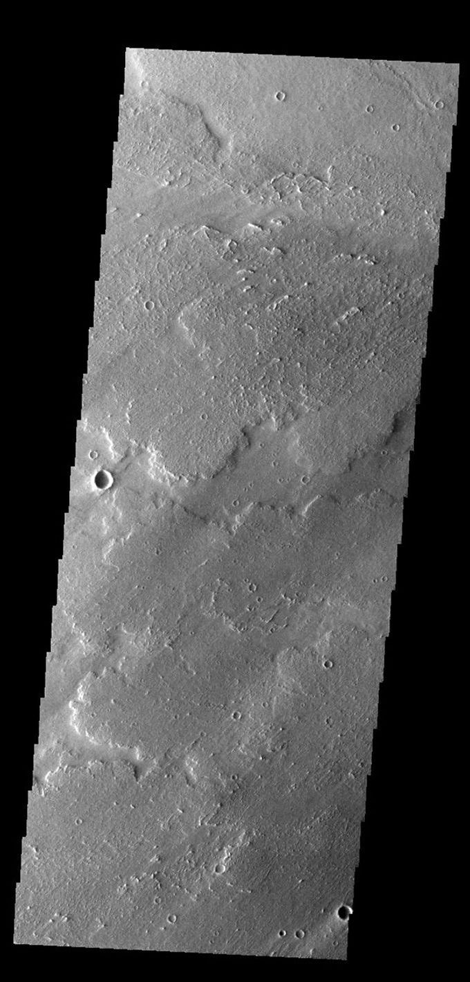 This image from NASA's Mars Odyssey shows a small portion of the immense lava flows that originated from Arsia Mons.