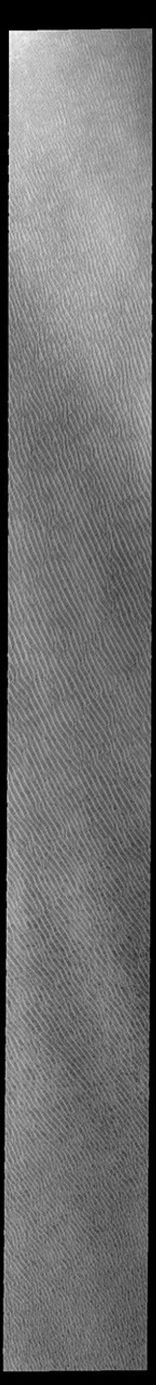 This image from NASA's Mars Odyssey shows Olympia Undae at the start of north polar spring.