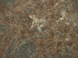 click here for Figure A for PIA25919