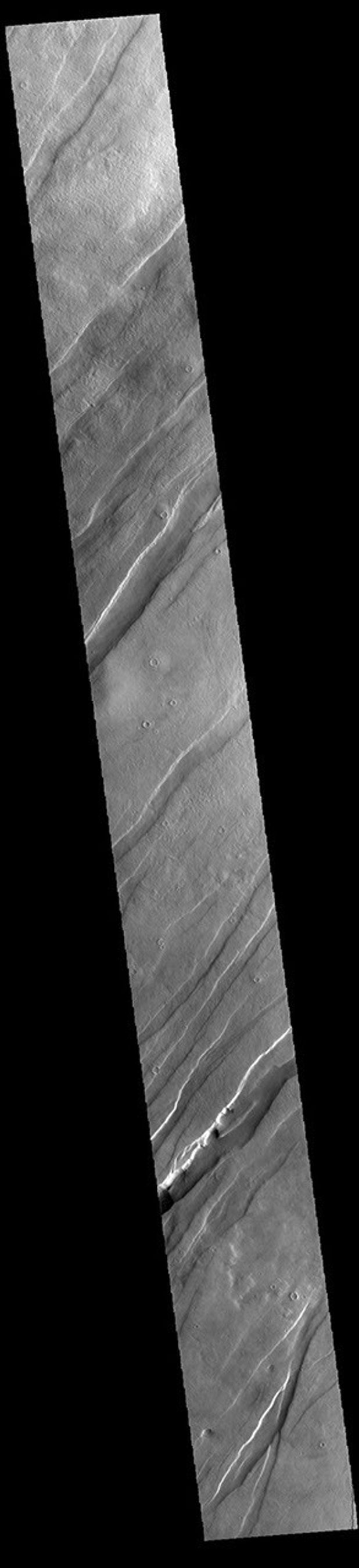 This image from NASA's Mars Odyssey shows a portion of Tantalus Fossae. The linear features are tectonic graben.