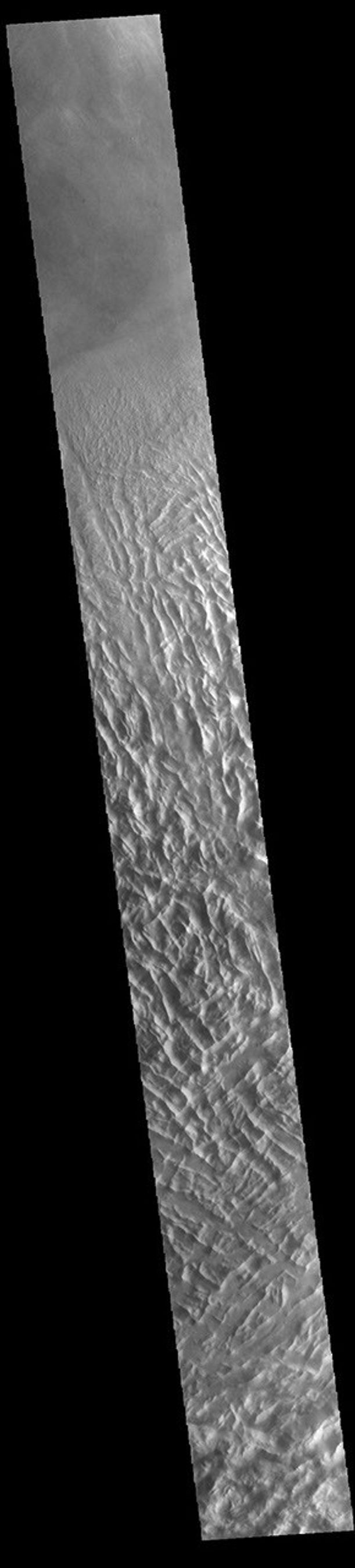 This image from NASA's Mars Odyssey shows the ridge forms that are typical of Lycus Sulci, a low lying area found to the northwest of Olympus Mons.
