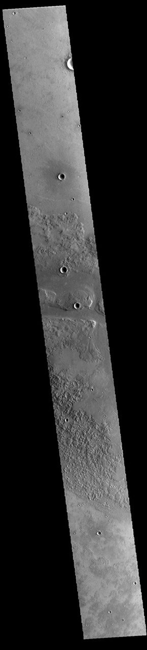 This image from NASA's Mars Odyssey shows one of the channels that comprise Granicus Valles. Granicus Valles is a complex channel system located west of Elysium Mons.