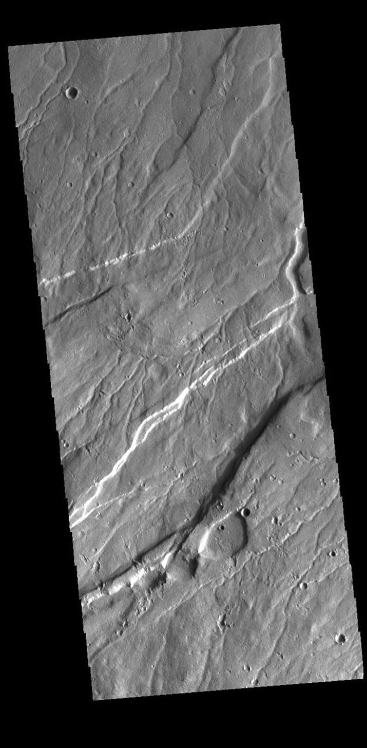 This image from NASA's Mars Odyssey shows the northern part of Alba Mons. The large linear depressions are graben, a tectonic feature created by faulting.
