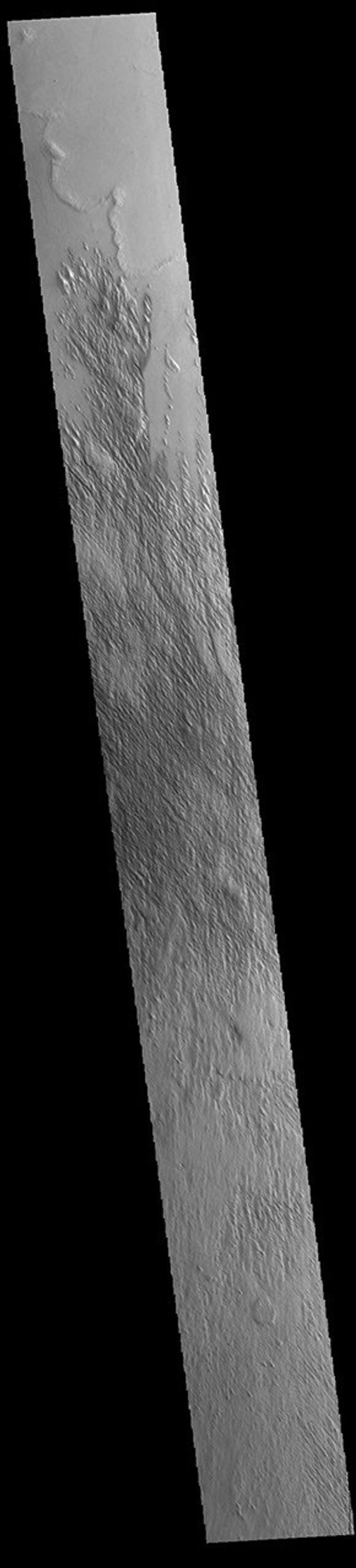 This image from NASA's Mars Odyssey shows part of the northern extent of Eumenides Dorsum, a large linear rise located in southern Amazonis Planitia.