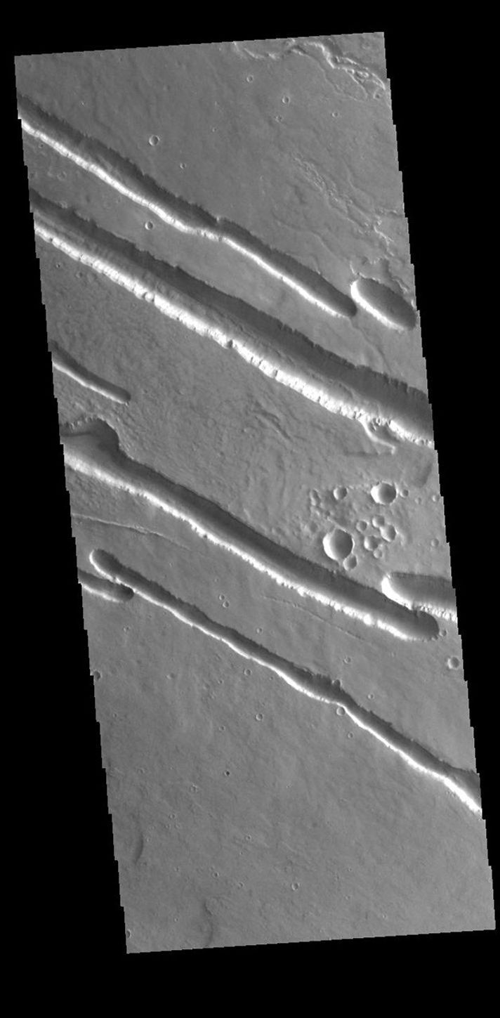 This image from NASA's Mars Odyssey shows a section of one of the many channel forms found radial to the Elysium Mons volcanic complex.