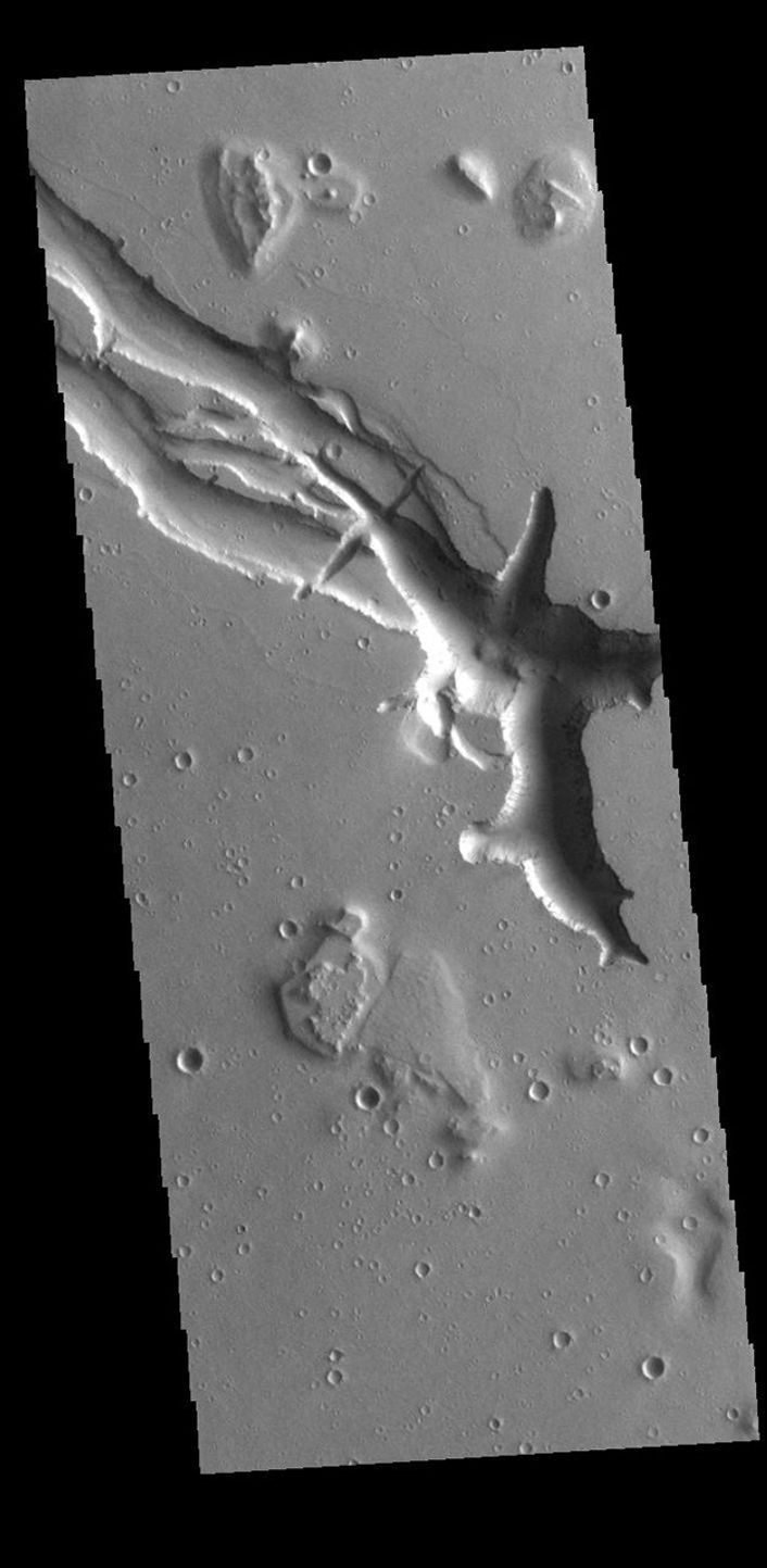 This image from NASA's Mars Odyssey shows Hebrus Valles, located west of the Elysium Volcanic complex.