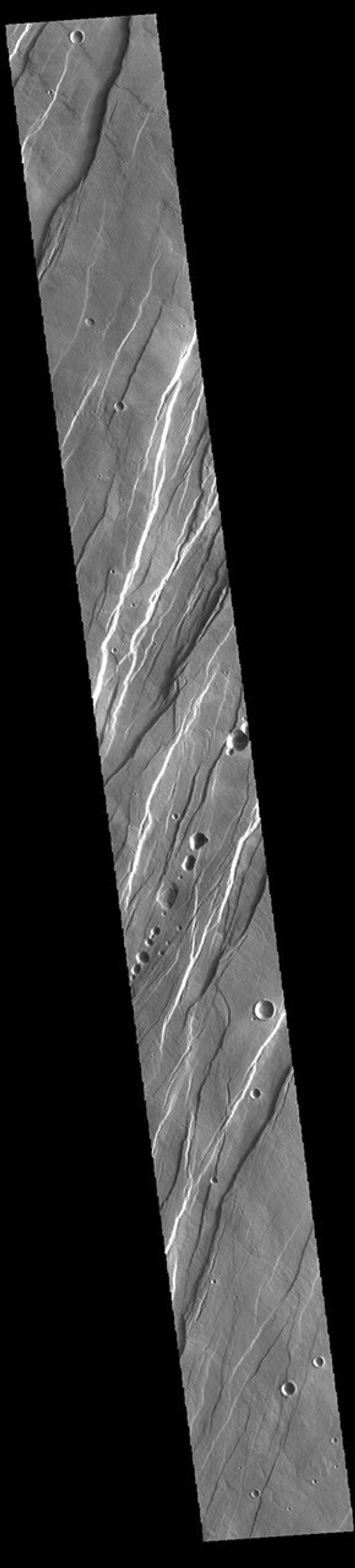 This image from NASA's Mars Odyssey shows a portion of Tantalus Fossae. The linear features are tectonic graben.