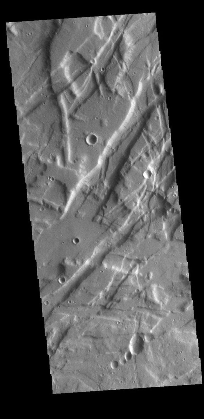 This image from NASA's Mars Odyssey shows a small portion of Tempe Fossae. The linear features are tectonic graben.