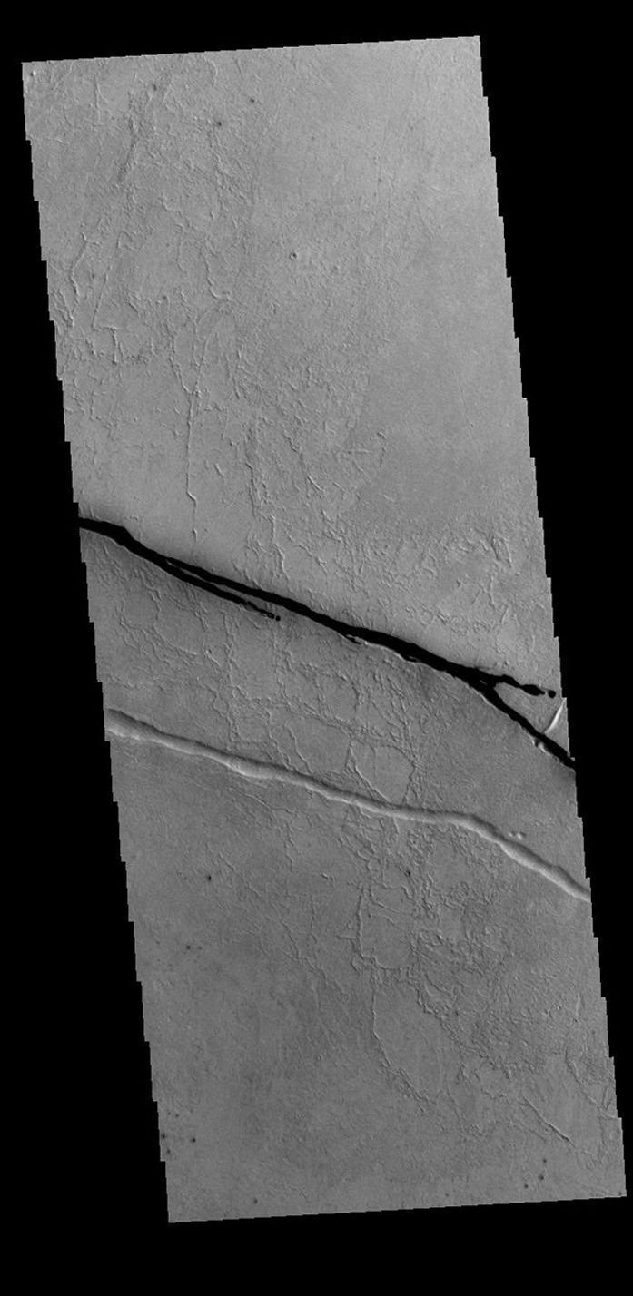 This image from NASA's Mars Odyssey shows a section of Cerberus Fossae. Cerberus Fossae are located in Elysium Planitia, southeast of the Elysium Mons volcanic complex.