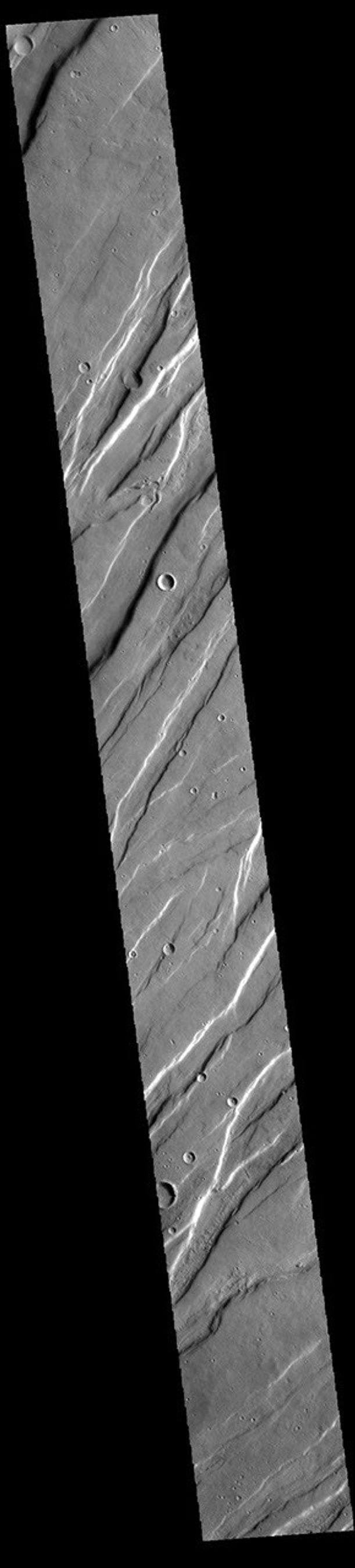 This image from NASA's Mars Odyssey shows a small portion of Tempe Fossae.
