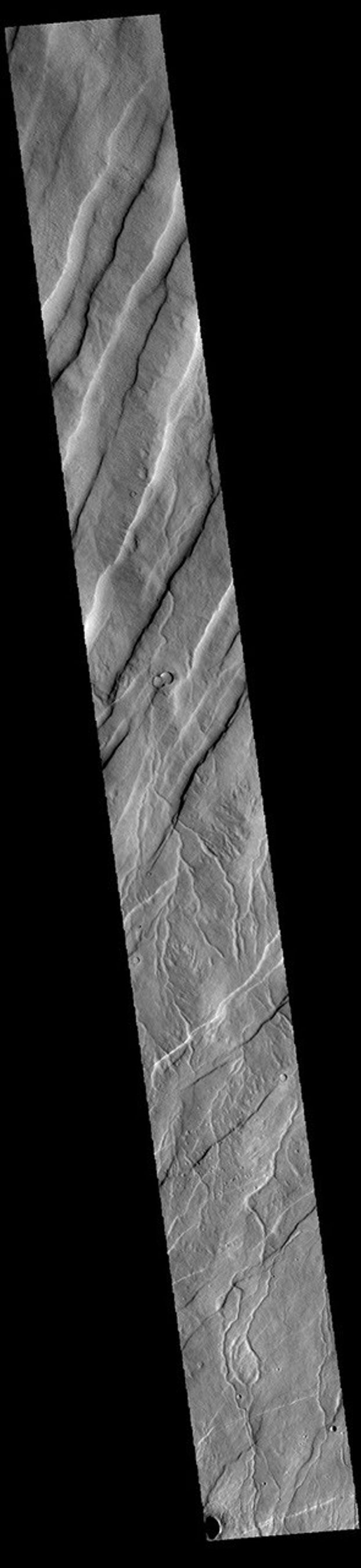 This image from NASA's Mars Odyssey shows Alba Fossae, a set of long valleys on the western side of Alba Mons.
