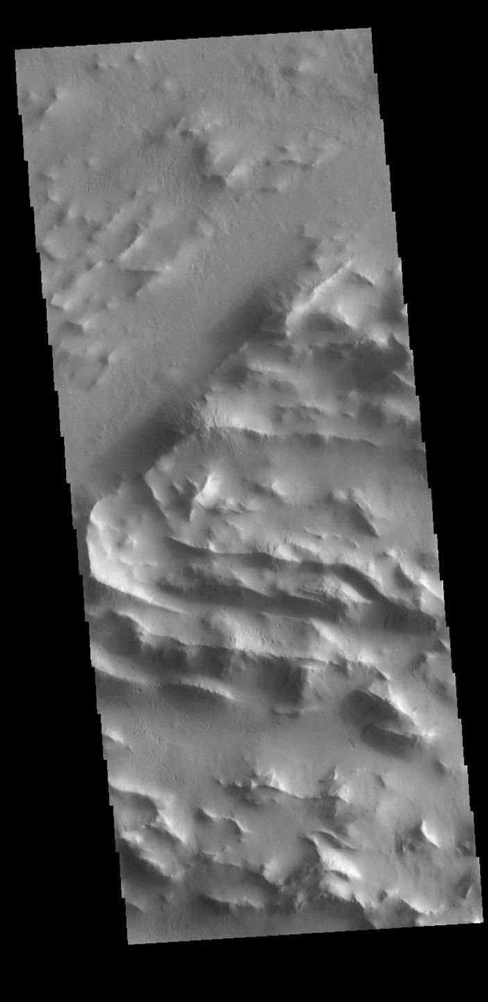 This image from NASA's Mars Odyssey shows the ridge forms that are typical of Lycus Sulci, a low lying area of ridges and valleys found to the northwest of Olympus Mons.