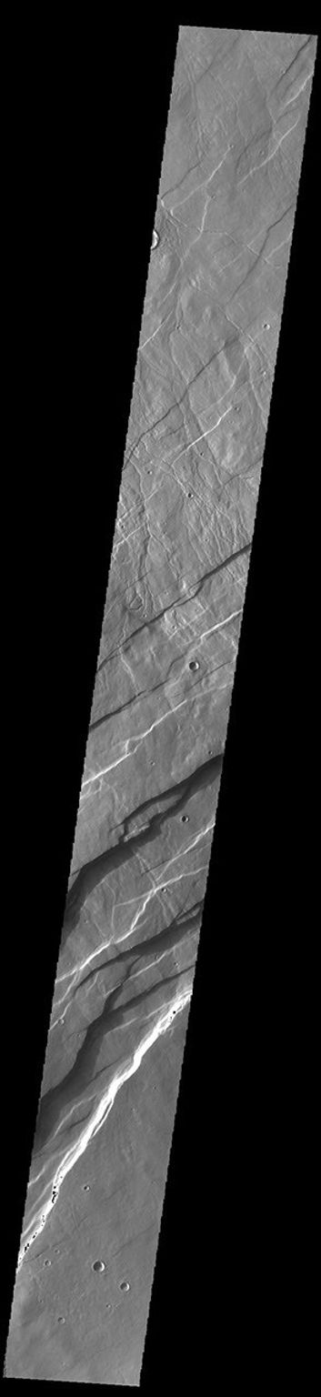 This image from NASA's Mars Odyssey shows Alba Fossae, a set of long valleys on the western side of Alba Mons.
