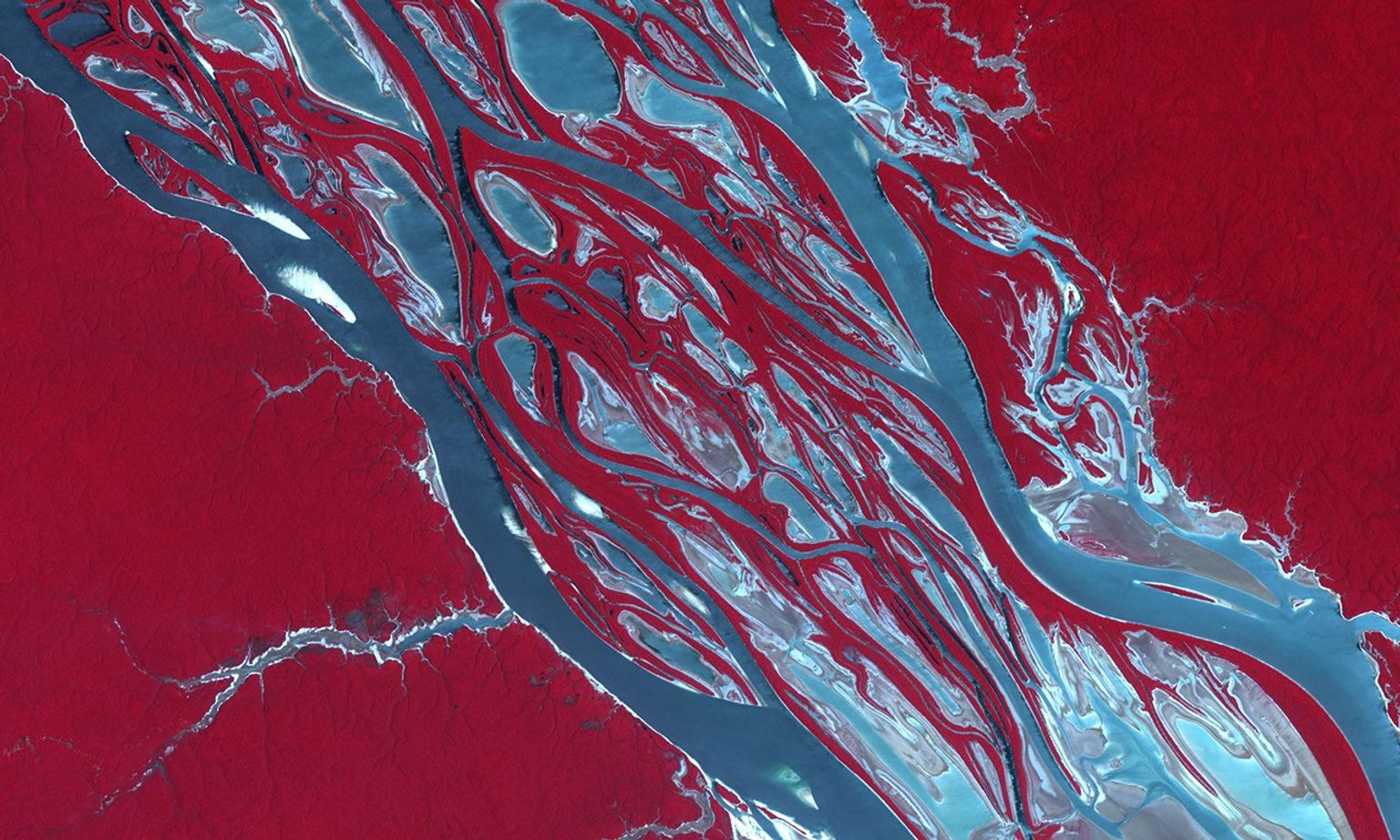 NASA's Terra spacecraft shows a severe drought in the Amazon is disrupting transportation, isolating communities and putting wildlife at risk.
