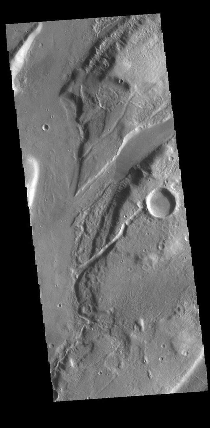 This image from NASA's Mars Odyssey shows linear features called Mareotis Fossae. They are part of a huge region of graben that comprise Tempe Terra.