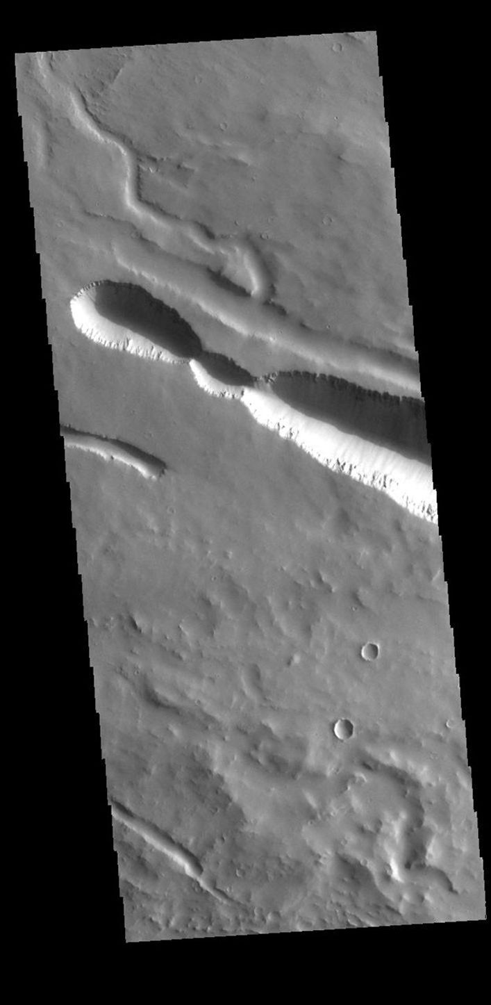 This image from NASA's Mars Odyssey shows a section of one of the many channel forms found radial to the Elysium Mons volcanic complex.