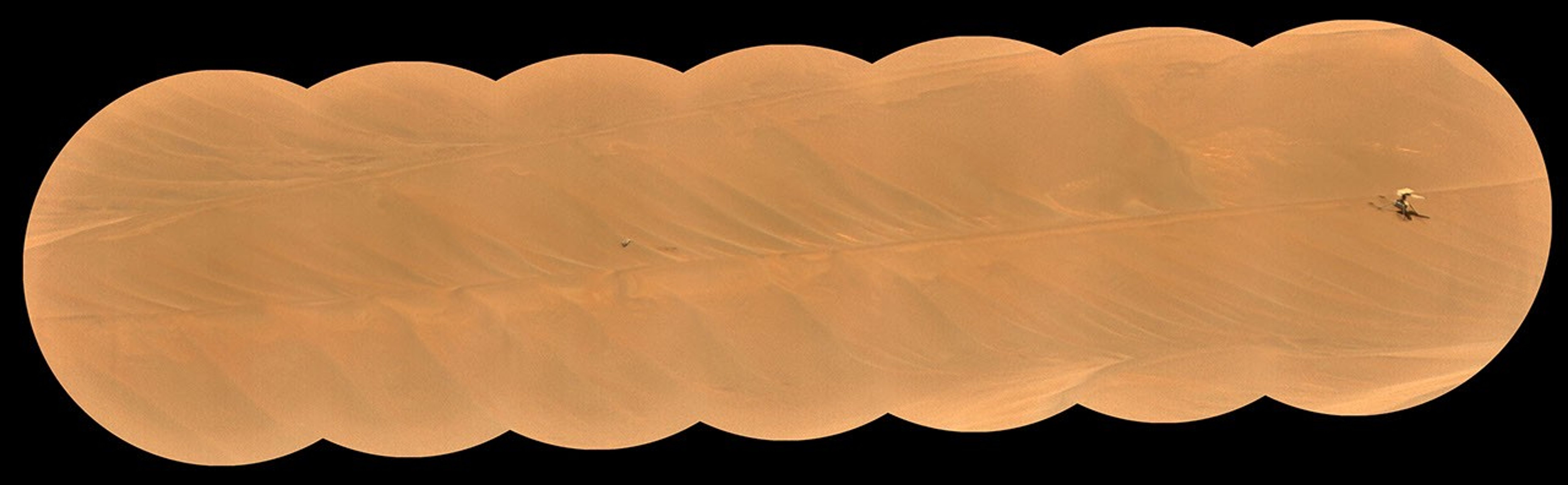 The Remote Microscopic Imager (RMI) camera aboard NASA's Perseverance Mars rover took these images of the Ingenuity Mars Helicopter and one of its rotor blades on Feb. 24, 2024.