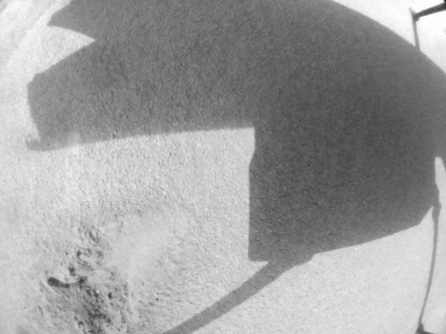 NASA's Ingenuity Mars Helicopter captured this video showing the shadows of its rotor blades turning on Feb. 11, 2024. Engineers planned the video to get more information about damage that was sustained during the helicopter's 72nd flight on Jan. 18, 2024