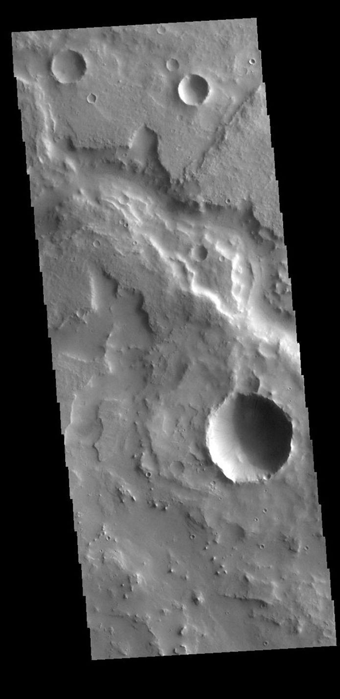This image from NASA's Mars Odyssey shows a section of Naktong Vallis.