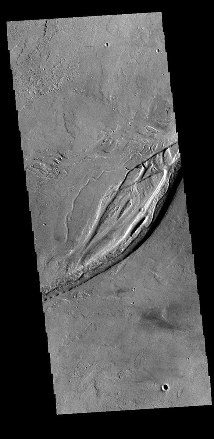 This image from NASA's Mars Odyssey shows Olympica Fossae, a complex channel located on the volcanic plains between Alba Mons and Olympus Mons.