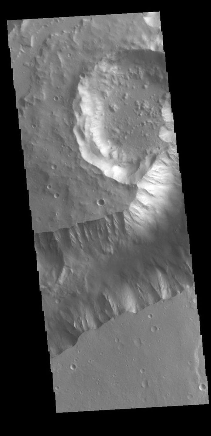 This image from NASA's Mars Odyssey shows a portion of Shalbatana Vallis.