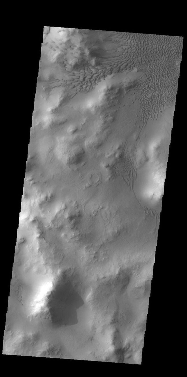 This image from NASA's Mars Odyssey shows part of the floor of Lyot Crater, including a large field of sand dunes on the crater floor.