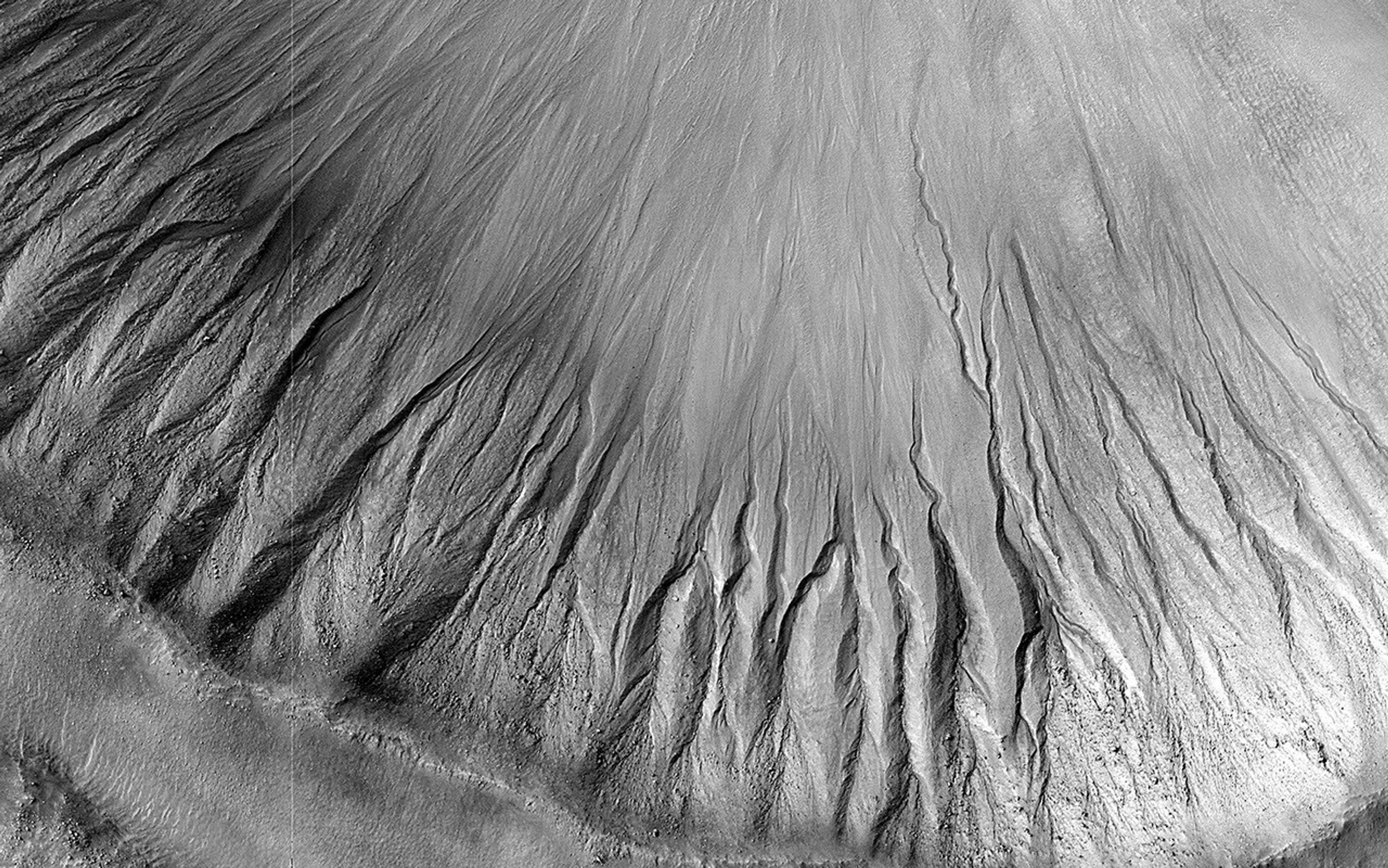This image acquired on February 14, 2024 by NASA's Mars Reconnaissance Orbiter shows a relatively fresh crater with gullies.