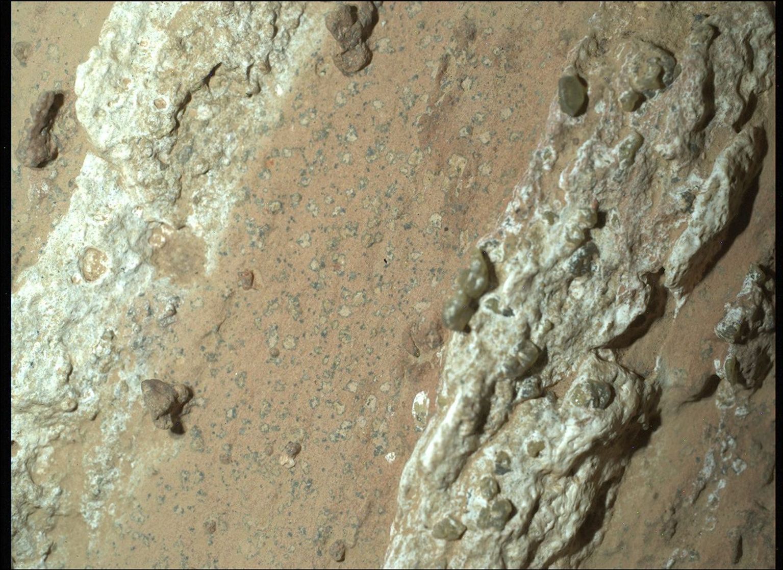 A color image of a Mars rock shows a smooth band of orange-tan down the center of the image, flanked by lumpy strips of lighter materials, smooth and in shades of light mint green and turquoise. The center portion shows innumerable small spots — light tan, outlined in very dark gray.