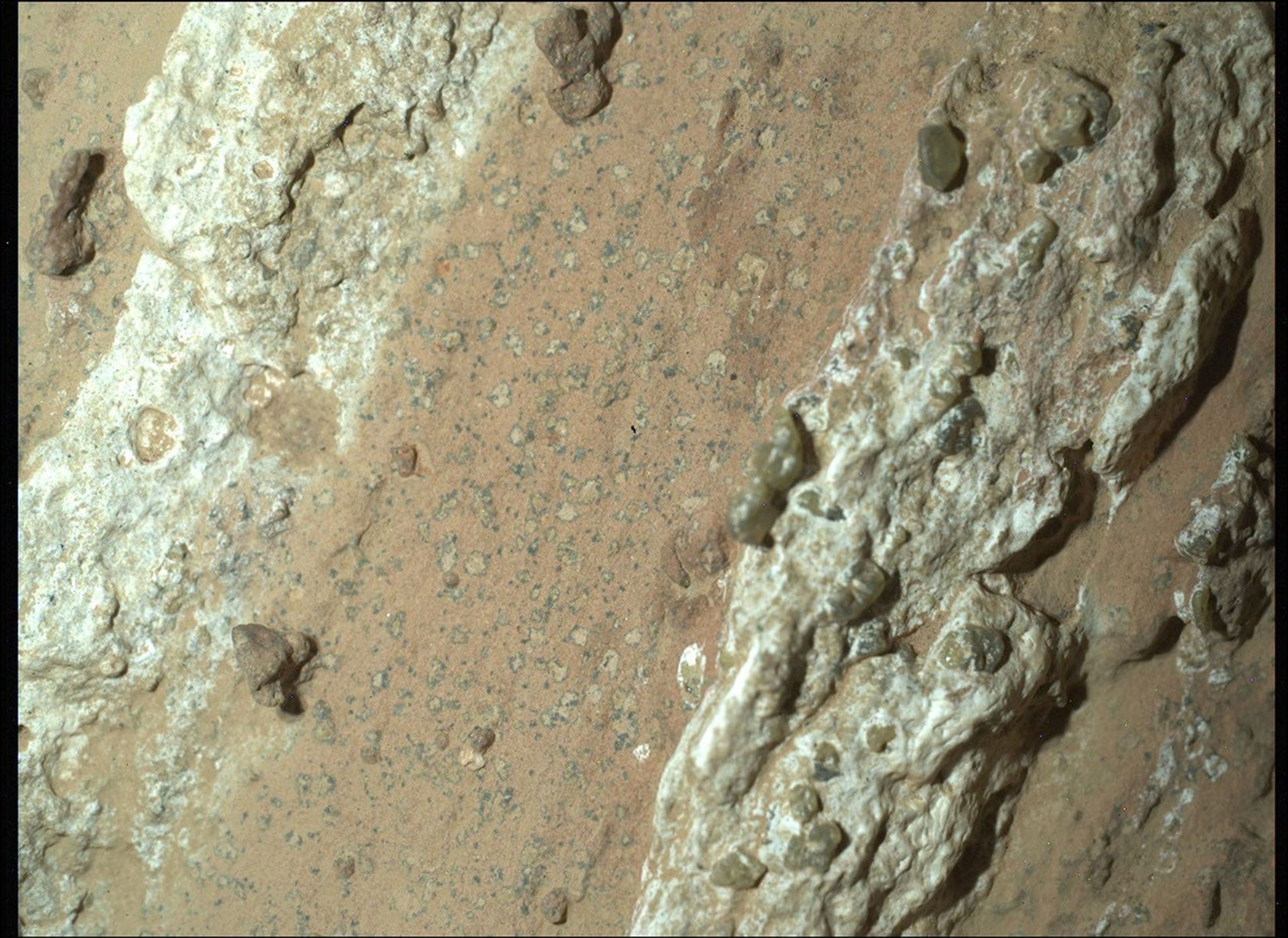 A color image of a Mars rock shows a smooth band of orange-tan down the center of the image, flanked by lumpy strips of lighter materials, smooth and in shades of light mint green and turquoise. The center portion shows innumerable small spots — light tan, outlined in very dark gray.