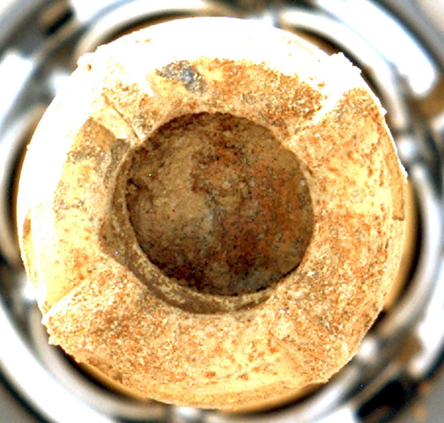 NASA's Perseverance used its Mastcam-Z instrument to view the Cheyava Falls rock sample within the rover's drill bit.