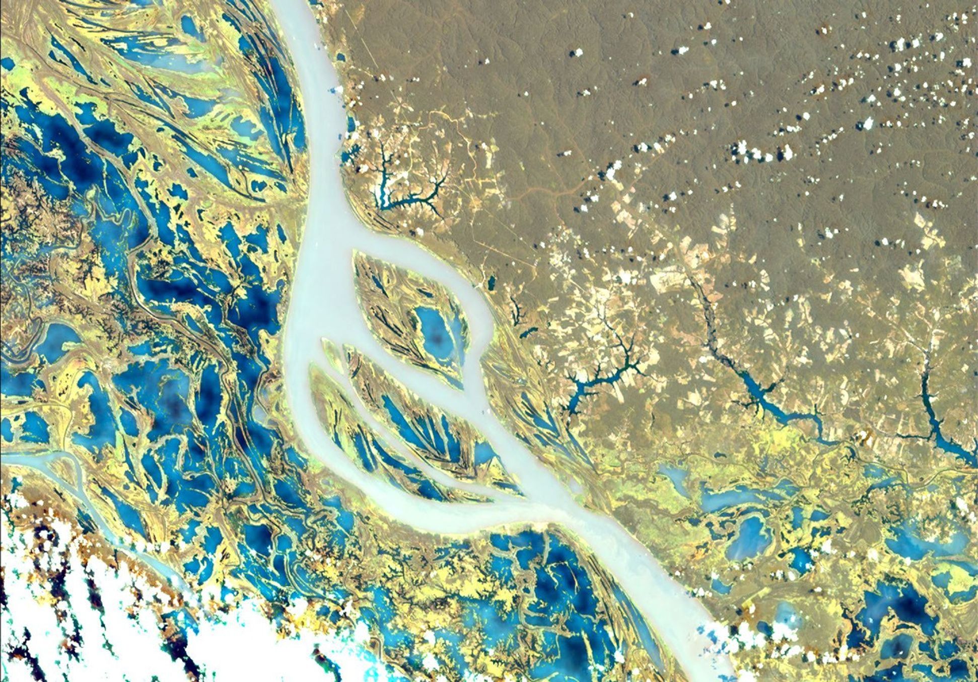 NASA's EMIT collected this hyperspectral image of the Amazon River in northern Brazil on June 30, 2024, as part of an effort to map global ecosystem biodiversity.